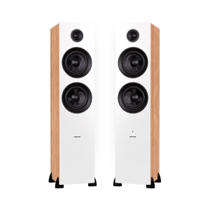 Fluance Ai81 Powered 2-Way Floorstanding Tower Speakers with 150W Built-in Amplifier for TV, Turntable, PC and Bluetooth