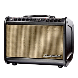 Traynor 65 Watt Acoustic Amp w/Effects