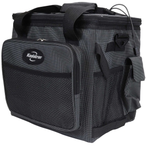 D13 Hybrid Portable 12V Cooler Bag with Shoulder Strap, 13L / 14 qt, Grey and Black