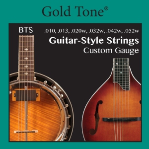 Gold Tone Banjitar String Set