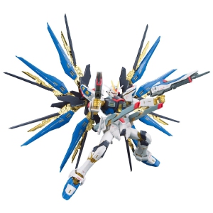 Bandai Gundam Real Grade Excitement Embodied 1/144 Scale Model Kit: #14 ZGMF-X20A Strike Freedom Gundam