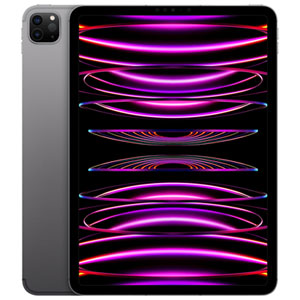 TELUS Apple iPad Pro 11" 2TB with Wi-Fi & 5G (4th Generation) - Space Grey - Monthly Financing