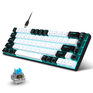 Portable 60% Mechanical Gaming Keyboard, LED Backlit Compact 68 Keys Mini Wired Office Keyboard with Blue Switch for Windows Vista/XP/7/8/10/11, MAC IOS, and Linux system