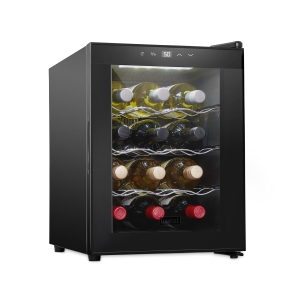 Réfrigérateur à vin Schmecke 12 bouteilles, refroidisseur de vin thermoélectrique, acier inoxydable