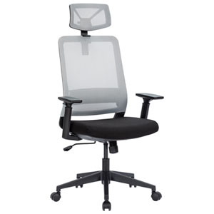 Naz Expert chaise de bureau en Mesh plein dos avec dossier - noir