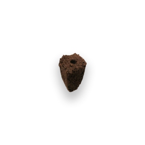 Grow Anything Seed Pod Kit (20pcs)