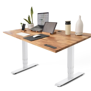EFFYDESK TerraDesk Eco-Friendly Height-Adjustable Electric Standing Desk - Made from Recycled Chopsticks with Cable Management Tray and 10-Year Warranty