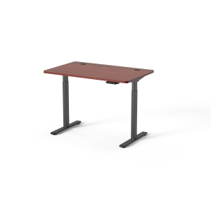 Ergoloop Walnut - Black Dual Motor Electric Sit Stand Desk 47" x 29.5" Top with 2 segment base