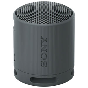 Sony SRS-XB100 Haut-parleur Bluetooth sans fil étanche - Noir