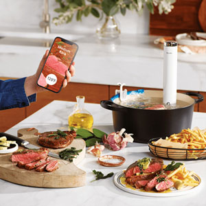 Breville Joule Turbo Sous Vide | Best Buy Canada