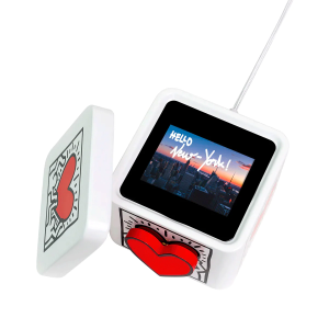 Keith Haring Lovebox - Love Note Messenger - Gift for Art Lover
