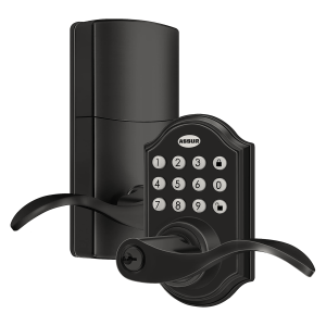 ASSUR Keyless Entry Door Lock Smart Door Locks Electronic Door Lock with Handle Lever