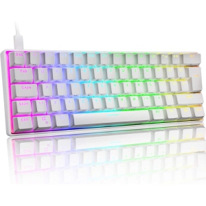 60% Mechanical Gaming Keyboard Mini Portable with Rainbow RGB Backlit Full Anti-Ghosting 61 Key Ergonomic Metal Plate Wired Waterproof for Typist Laptop Gamer (White/Red Switch)