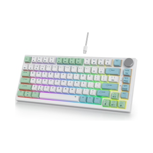 Wired 75% Percent Mechanical Keyboard, Hot Swappable, Red Switch, TKL Mechanical Keyboard, Gasket Mount, RGB Backlit Compact Gaming Keyboard with Volume Knob, Mint