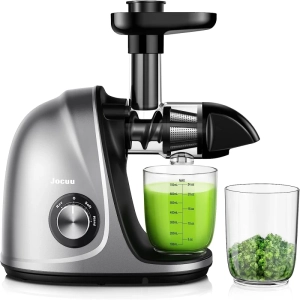 Cold Press Juicer Machine | 2-Speed Modes, Masticating for Vegetables & Fruits | Includes Recipes, Brush, Reverse Function | Quiet Motor | Grey