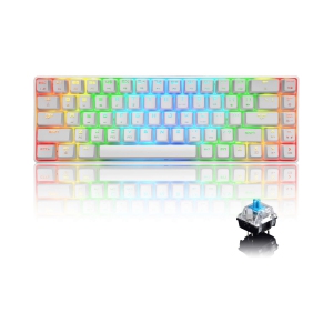 Mechanical Gaming Keyboard 18 Chroma RGB Backlit Keyboard with Type C Blue Switches 68 Keys Anti-ghosting Wired Gaming Keyboard for PC/Mac Gamer, Typist, Tactile, White RGB
