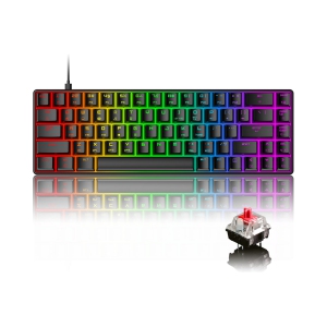 Gaming Keyboard 18 Chroma RGB Backlit 60% Percent Keyboard with Type C Red Switches 68 Keys Anti-ghosting Wired Gaming Keyboard for PC/Mac Gamer, Typist, Tactile-Black