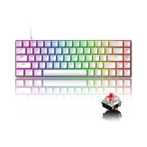 Mechanical Gaming Keyboard 18 Chroma RGB Backlit Keyboard with Type C Red Switches 68 Keys Anti-ghosting Wired Gaming Keyboard for PC/Mac Gamer, Typist, Tactile, White RGB