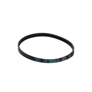 W11239857 Whirlpool Washer Drive Belt
