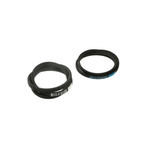 12112425 Whirlpool Washer Pump & Drive Belt Set, 2/Pack