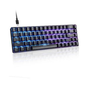 Wired 60% Mechanical Gaming Keyboard, RGB Lights Compact 68 Key Mini Keyboard with Type C Charger and Blue Switch, for Mac Windows PC PS4 Gamer, Black