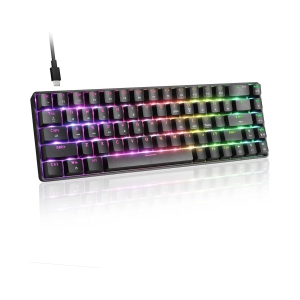 Wired 60% Mechanical Gaming Keyboard, RGB Lights Compact 68 Key Mini Keyboard with Type C Charger and Brown Switch, for Mac Windows PC PS4 Gamer, Black