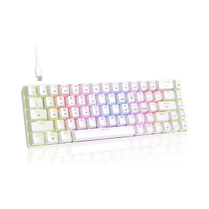 Wired 60% Mechanical Gaming Keyboard, RGB Lights Compact 68 Key Mini Keyboard with Type C Charger and Blue Switch, for Mac Windows PC PS4 Gamer, White