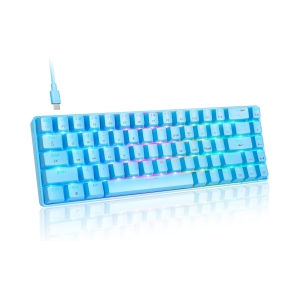 Wired 60% Mechanical Gaming Keyboard, RGB Lights Compact 68 Key Mini Keyboard with Type C Charger and Blue Switch, for Mac Windows PC PS4 Gamer, Blue