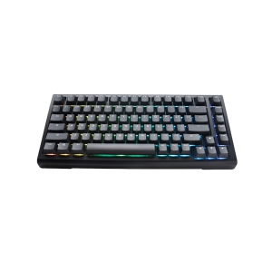 Ducky ProjectD Tinker 75 RGB Hotswap Mechanical Gaming Keyboard Cherry MX Brown Switch75% Layout, Black