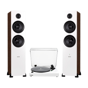 Fluance RT81+ Turntable & Ai81 Tower Speakers: Superior Sound Harmony for Analog Lovers