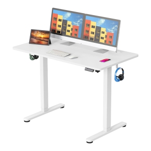 Height Adjustable Sit Stand Desk , 43" X 24" Electric Standing Desk Computer Desk with Hanging Hooks and Cable Management(Whole-Piece Desktop, 154lbs Capacity)