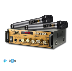 PEAK Karaoke Gold System Package (ECHO & 600W): Bluetooth Stereo Amplifier PK-AMP-001, Two UHF Rechargeable Wireless Microphone with Echo and Volume control PK-MIC-002