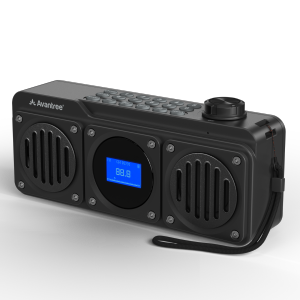 Avantree Boombyte - Portable FM Radio with Bluetooth Speaker, Dual Drivers (14W), High Volume Stereo Sound, Micro SD Card Slot, and USB Port Audio Input - Black