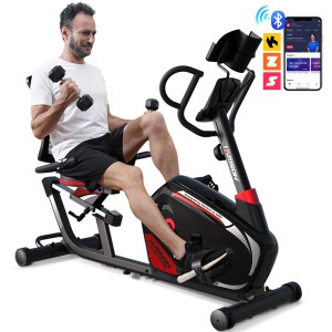 HARISON Magnetic Recumbent Exercise Bike Recumbent bikes for Adult and Seniors, Recumbent Exercise bike for Home 400 lbs Capacity (BBCA-B8)