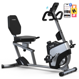 HARISON Magnetic Recumbent Exercise Bike Recumbent Exercise bike for Home 350 lbs Capacity (BBCA-B50)