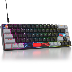 Portable 65% Percent Mechanical Gaming Keyboard, Mini Wired Ultra Compact RGB 68 Keys Office Keyboard with Red Switch Backlit for PC/PS5/XBOX(Dark/ 68 Red Switch)