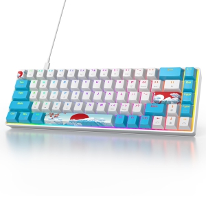 Portable 60% Mechanical Gaming Keyboard, Ultra Compact RGB Wired 65 Percent Mini Office Keyboard Backlit with Red Switch for PC/PS5/XBOX(Blue/ 68 Red Switch)