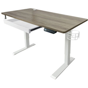 Ljubljana 47" Electric Height Adjustable Standing Desk Standing Desk - Maple