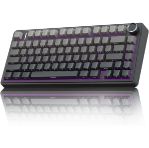 RisoPhy Wireless Mechanical Gaming Keyboard,75% Gasket Hot Swappable Custom Keyboard, RGB Backlit,Pre-lubed Reaper Switches, Side Printed PBT Keycaps,2.4GHz/USB-C/BT5.0