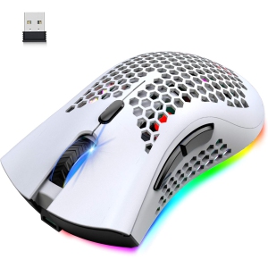 RisoPhy Wireless Lightweight Gaming Mouse Honeycomb with 7 Button Multi RGB Backlit Perforated Ergonomic Shell Optical Sensor Adjustable DPI Rechargeable 800mAh - White