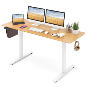 Costway 63 x 24 Inch Sit Stand Desk Height Adjustable Electric Standing Desk
