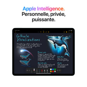 Apple iPad Air M3 13