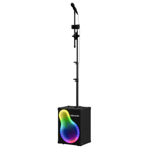 Dolphin KP-500 Portable Bluetooth Karaoke Speaker with Mic and stand.