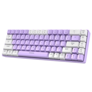 Mechanical keyboard purple blue axis 68-key mini programmable wired keyboard, Type-C RGB backlit keyboard