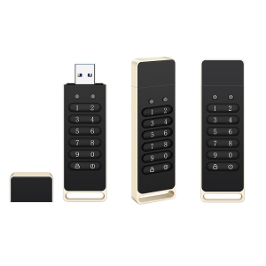 Secure USB 3.0 Flash Drive AES-256 Encrypted USB Drive Digital Encrypted USB Drive – Hardware-level security, compact, durable and portable (black 256GB)