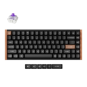 Keychron K2 HE Wireless RGB Mechanical Keyboard for Gaming - 75% Compact Layout, Customizable Switches, Fast 1000Hz Polling, for Windows & macOS Black (K2H-F1)