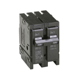Br2100 Double Pole Interchangeable Circuit Breaker 120/240V 100-Amp