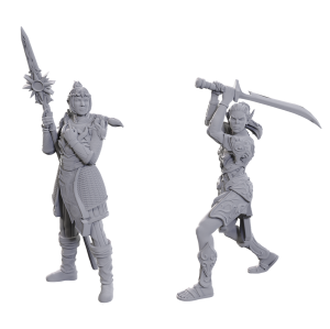 WizKids Games Dungeons & Dragons Nolzur's Marvelous Special Edition Baldur's Gate 3 Unpainted Miniatures: Lae'Zel & Shadowheart