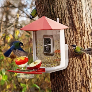 Perchme Sf-bf-vc01 Smart Bird Feeder With Camera (Vermilion Canopy)