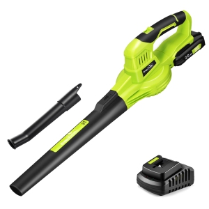 SnapFresh 20V Cordless Electric Leaf Blower with 2.0Ah Battery and Charger for Lawn Patio Garden(Green)
